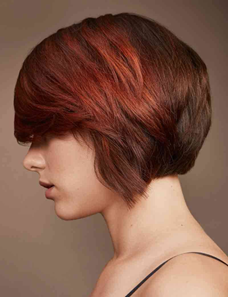 Chestnut Brown Highlights For Dark Hair